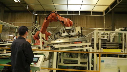 厲害了 看看遵化這家企業的 科技范