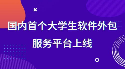 國內首個大學生軟件外包服務平臺正式上線，賦能創新實踐與技術人才培養